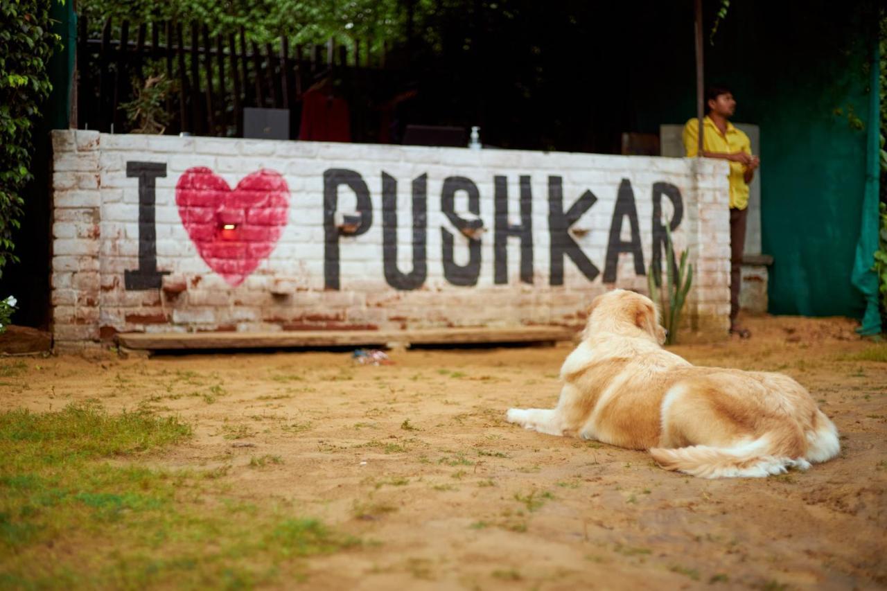 The Hostel Air Pushkar Eksteriør bilde