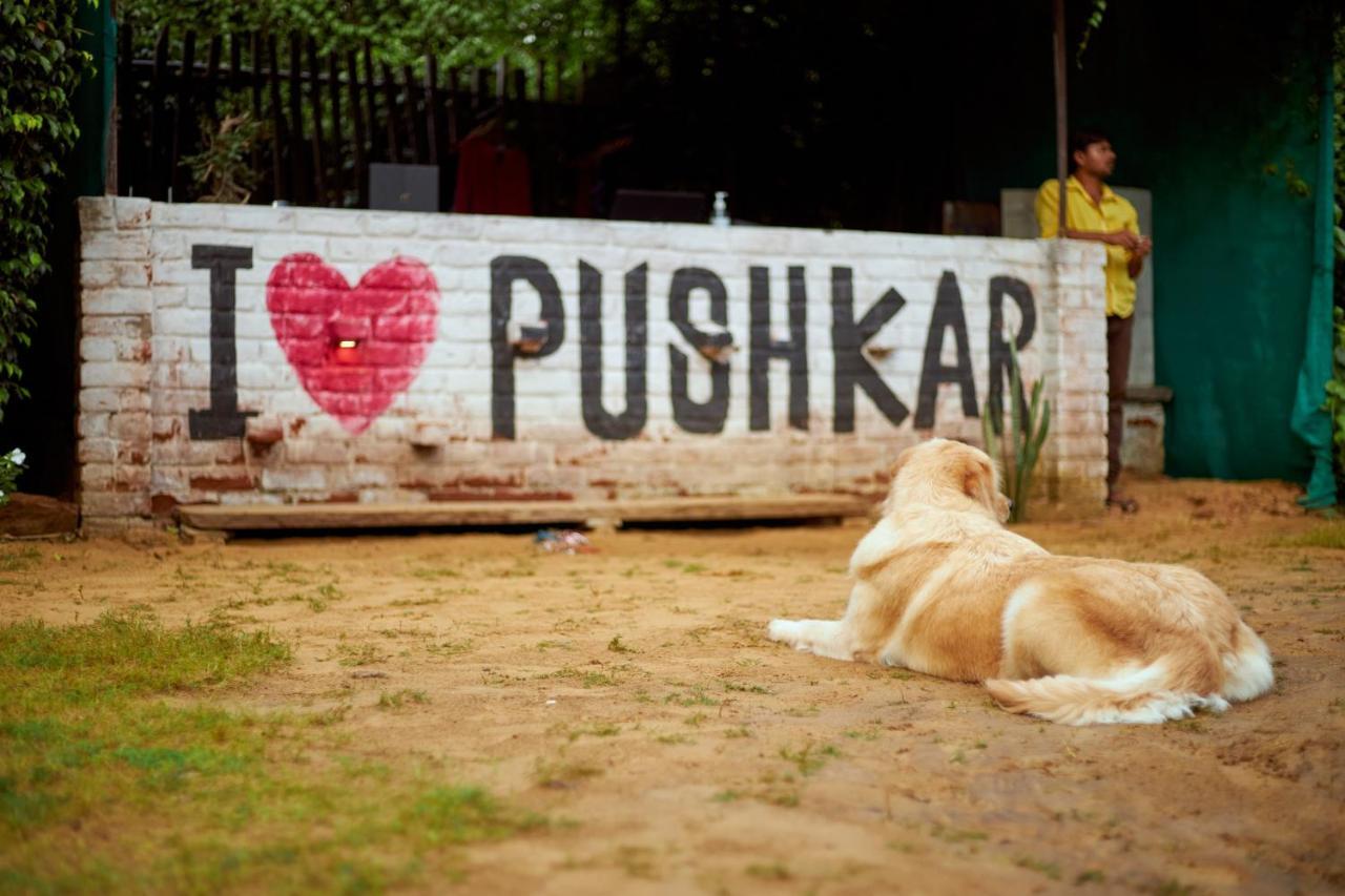 The Hosteller Pushkar Eksteriør bilde